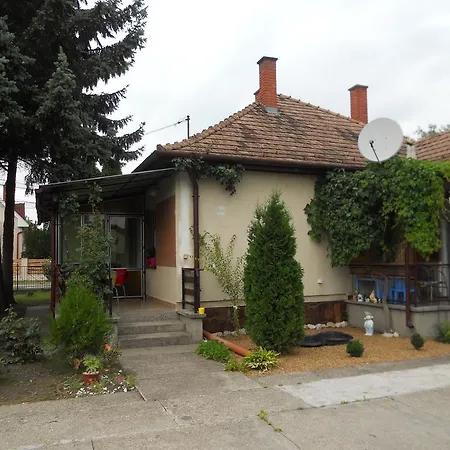 Balaton 16 Holiday home *